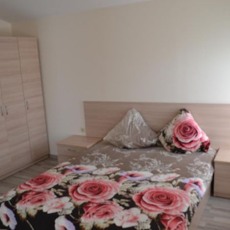 Apartamentai Vilma パランガ 部屋 写真